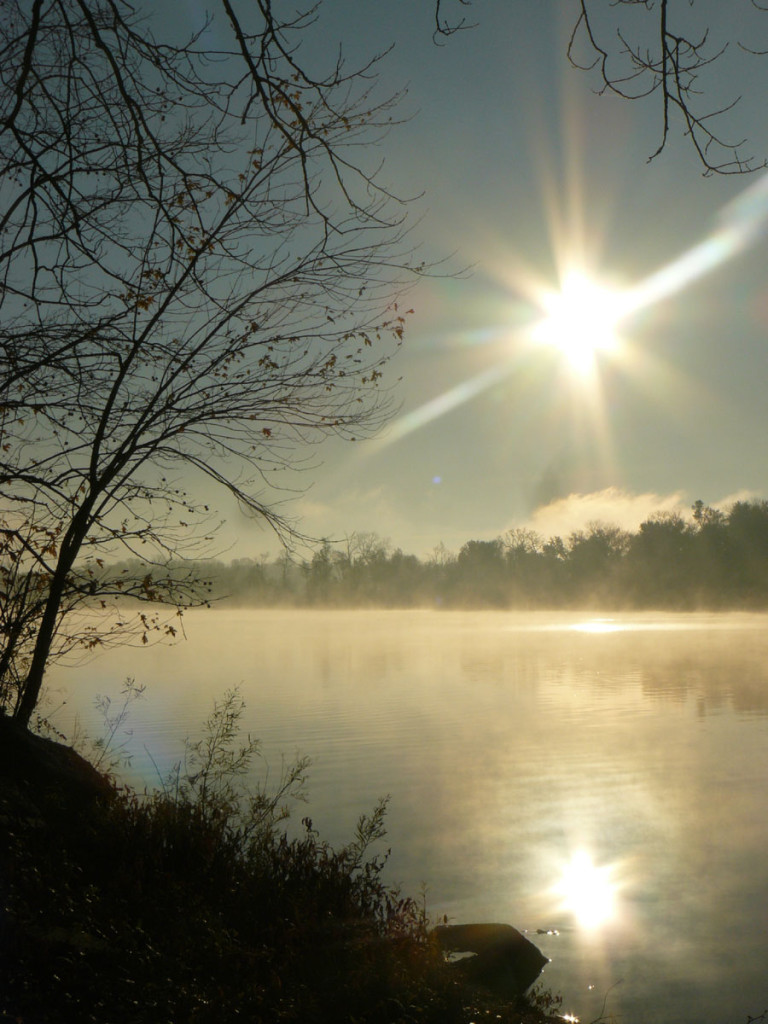 Photo #266: Early Morning Mist