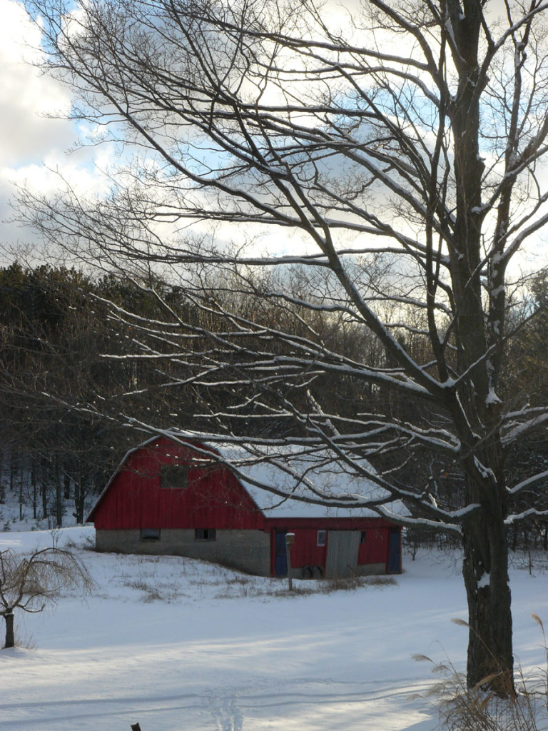 Photo #276: Old Red Barn