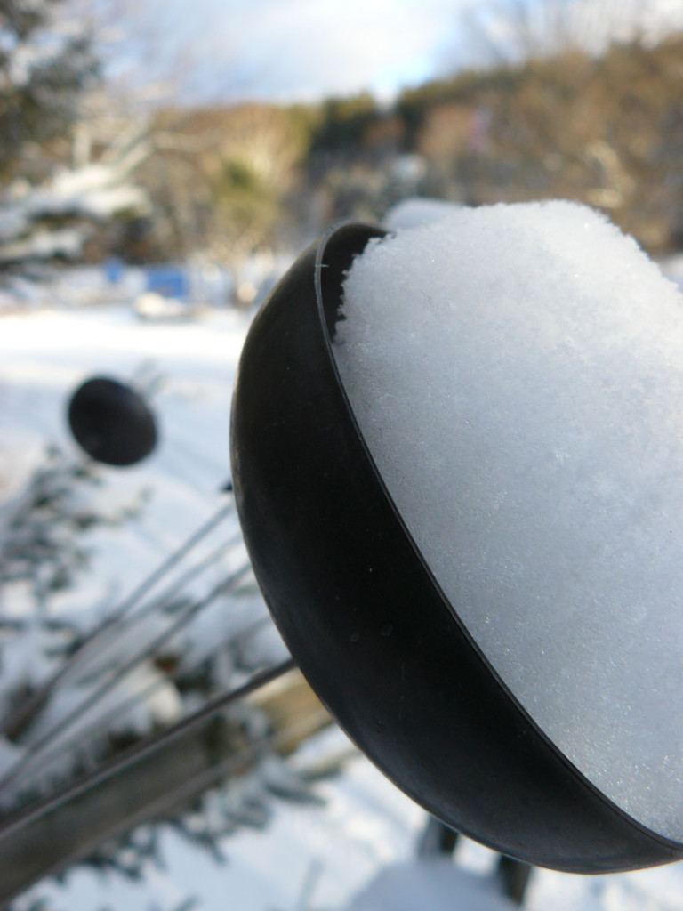 Photo #278: Snow Bowls?