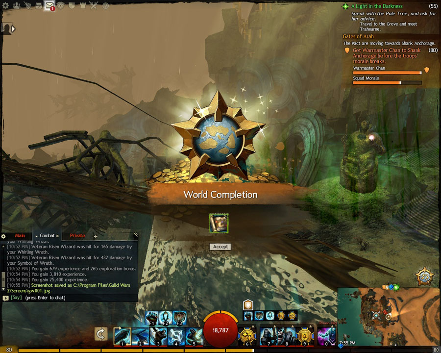 Photo #294: GW2 World Completion