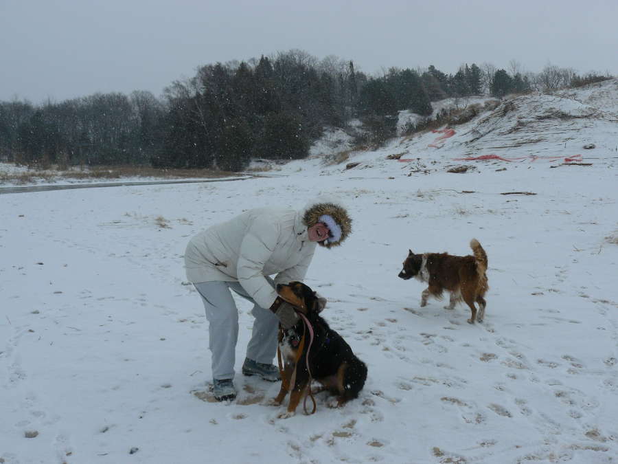 Photo #304: Mom Dog Snow